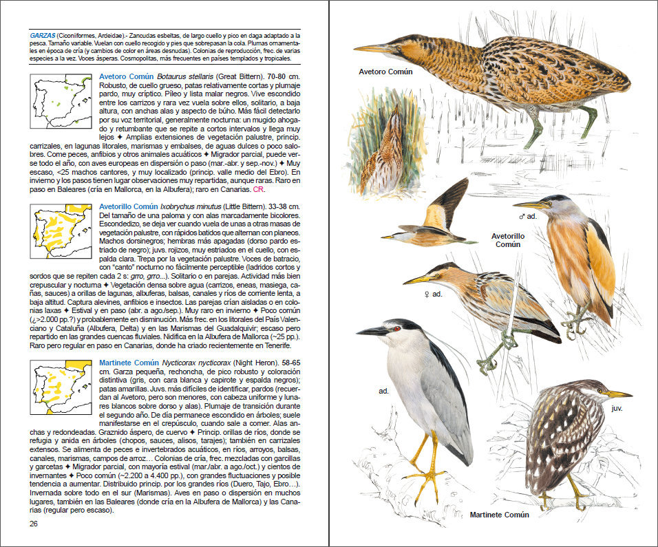 Sample page of Aves de España Aves de España sample page